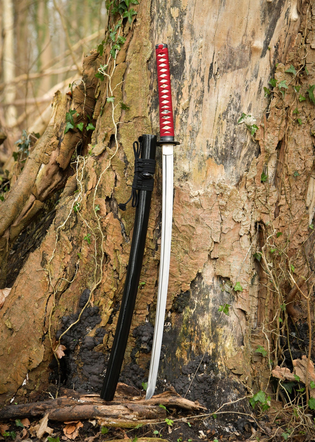 Katana funcional Dragon King Spring Sakura