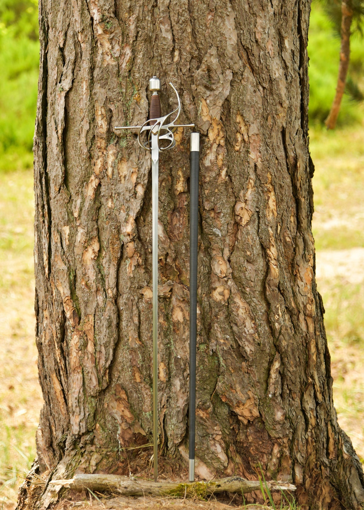 Espada ropera de lazo Kings Arms, acabado pulido